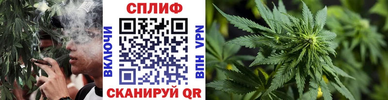 Сколько стоит Переславль-Залесский ГАШИШ  Alpha PVP  MEGA зеркало  МАРИХУАНА  МЕФ  Галлюциногенные грибы 