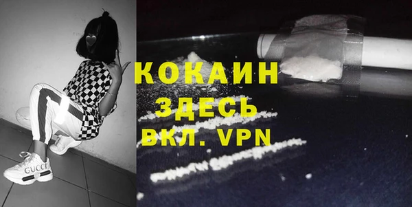 шишки Баксан