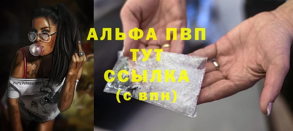 шишки Баксан