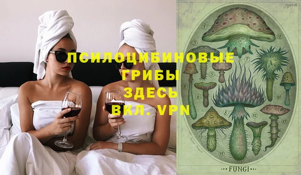 шишки Баксан