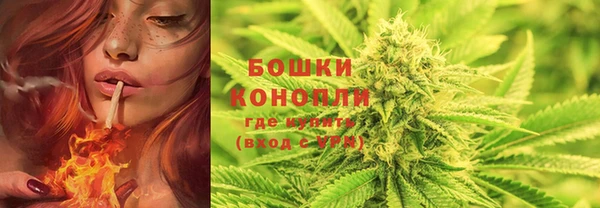 шишки Баксан